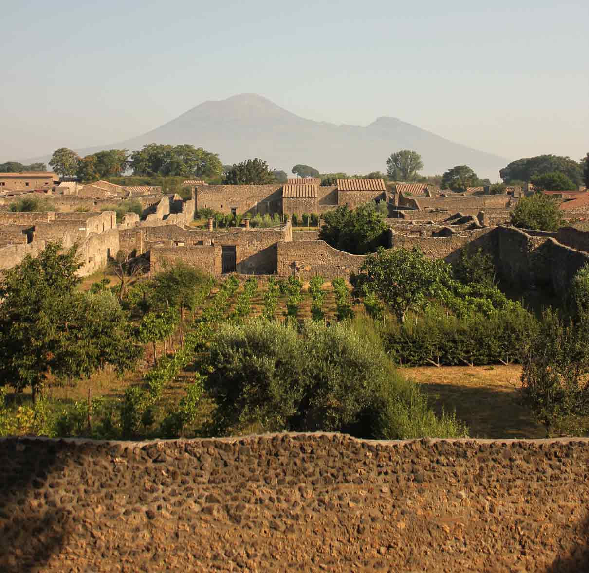 Pompeii Orto dei fuggiaschi